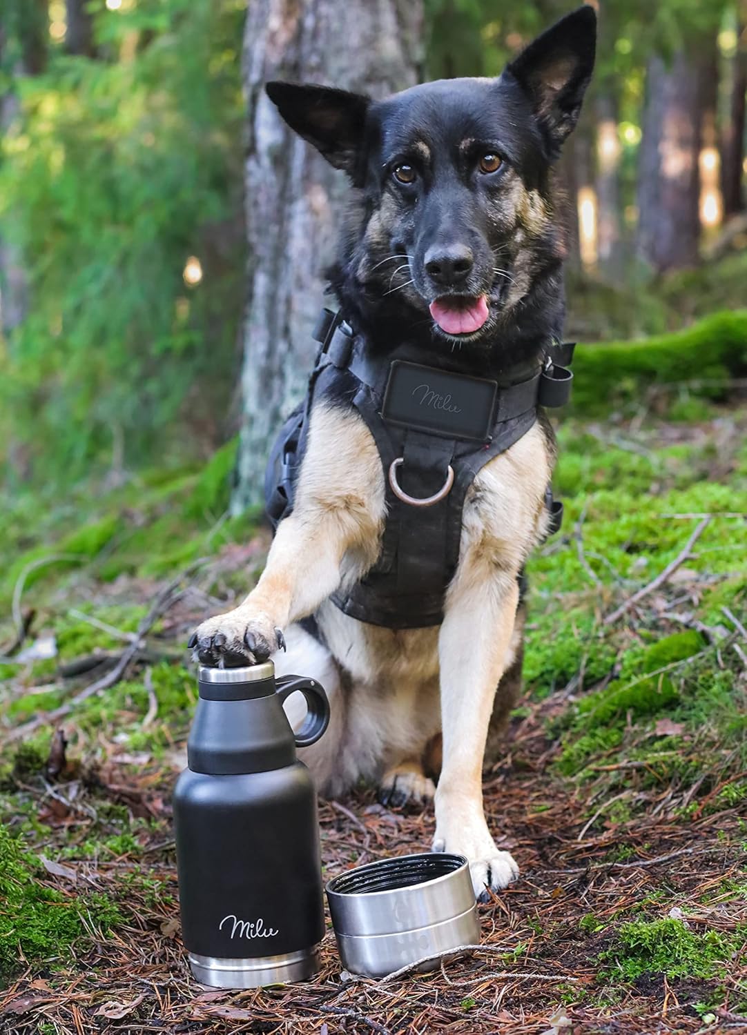 Ersatz für Hundetrinkflasche Futternapf, Wassernapf, Tragetasche